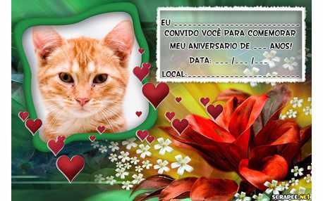 Moldura - Convite De Aniversario Para Mulher