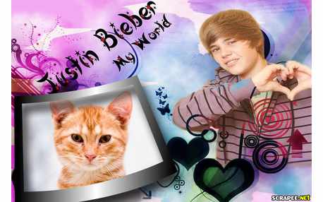 Moldura - Moldura Justin Bieber