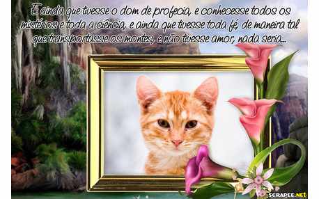 Moldura - Passagem Biblica