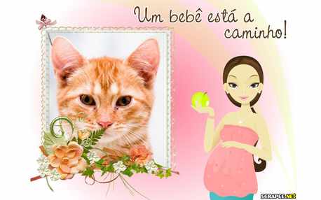 Moldura - Um Bebe Esta A Caminho