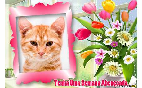 Moldura - Bencaos Para A Semana