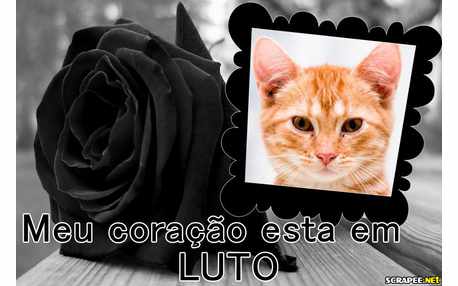 Moldura - Estou Em Luto