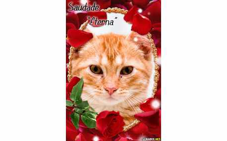 Moldura - Estou Em Luto