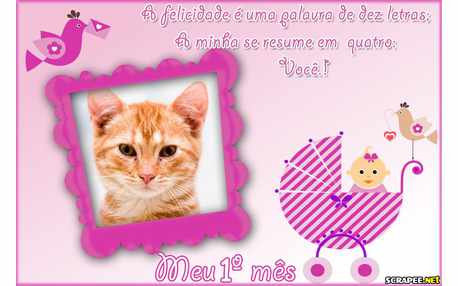 Moldura - Primeiro Mes Bebe Menina