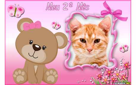 Moldura - Segundo Mes Bebe Menina