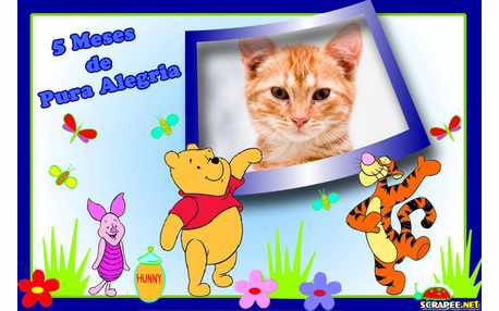 Moldura - Menino 5 Meses