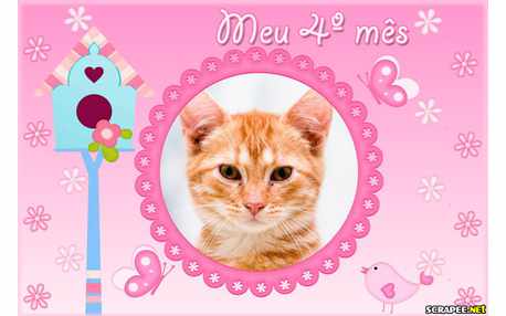 Moldura - Bebe Menina 4 Meses