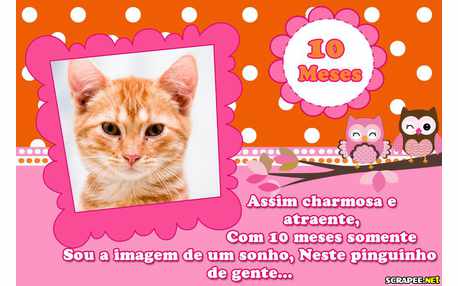 Moldura - Bebe Menina 10 Meses