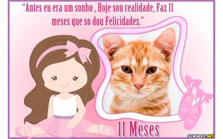 Moldura - Bebe Menina 11 Meses