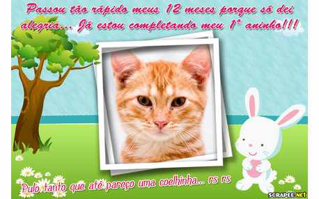 Moldura - Bebe Menina 1 Aninho