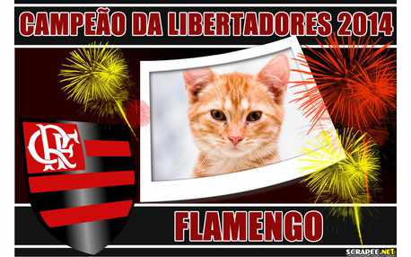 Moldura - Flamengo Campeao Das Libertadores 