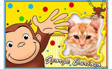 Moldura - Macaquinho George O Curioso