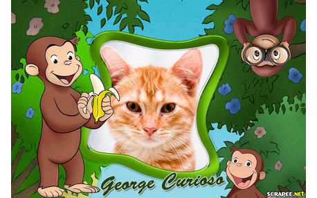 Moldura - George Furioso