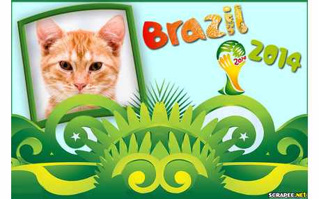 Moldura - Moldura Para Foto Da Copa 2014