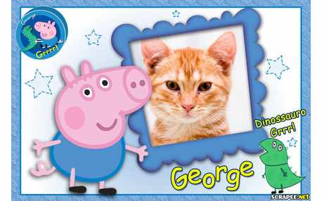 Moldura - George Pig