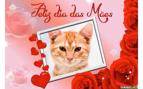 Moldura - Feliz Dia Das Maes