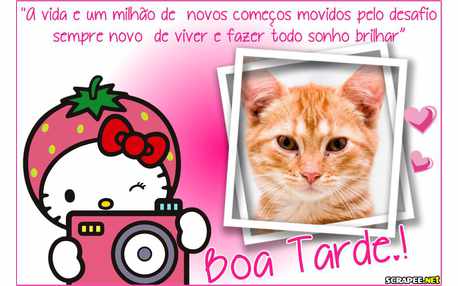 Moldura - Tarde Encantadora Hello Kitty