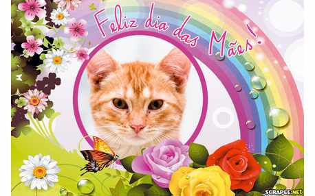 Moldura - Dia Da Mae Rainha