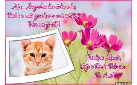 Moldura - Mae Minha Flor