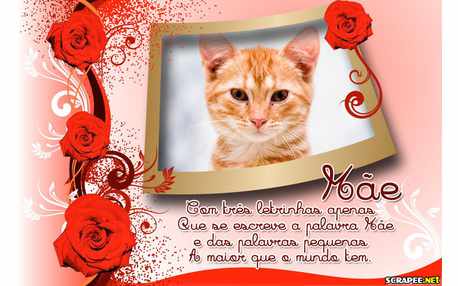 Moldura - Dia Das Maes Com Carinho