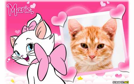 Moldura - Gatinha Marie Do Filme Aristogatas