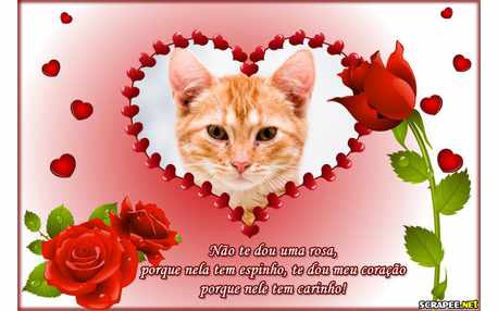 Moldura - Dou Carinho Nao Rosa