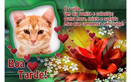 Moldura - Como E A Vida