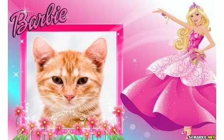 Moldura - Barbie Do Novo Desenho