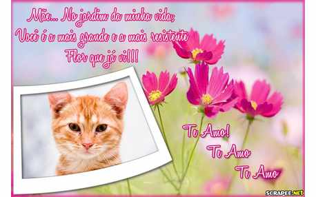 Moldura - Mae Minha Mais Bela Flor