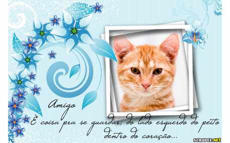 Moldura - Amigo De Peito