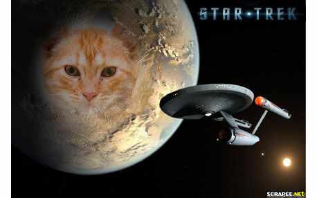 Moldura - Star Trek