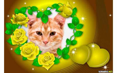 Moldura - Coracao De Rosas Amarelas