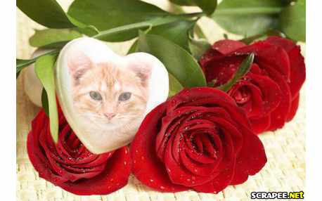 Moldura - Coracao Entre Rosas