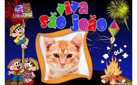Moldura - Viva Sao Joao