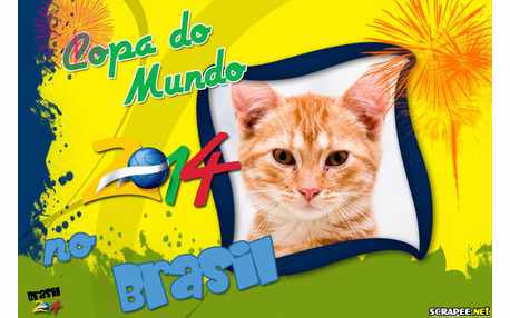 Moldura - Copa Do Mundo No Brasil 2014