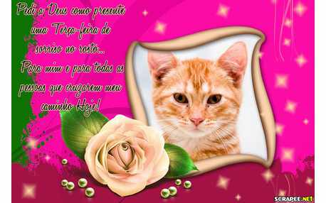 Moldura - Terca Feira Feliz