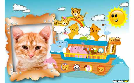 Moldura - Arca   Safari