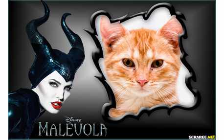 Moldura - Malevola Disney