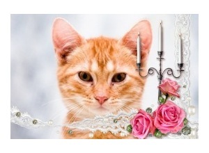 Moldura - Casamento Com Vela