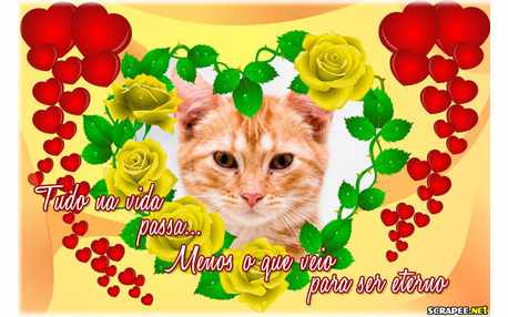 Moldura - Quase Tudo Na Vida Passa