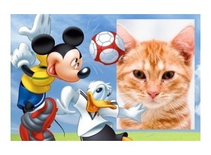 Moldura - Mickey And Donald