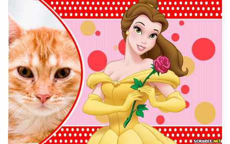 Moldura - Princesa Bella Da Disney