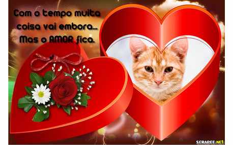 Moldura - So O Amor Fica