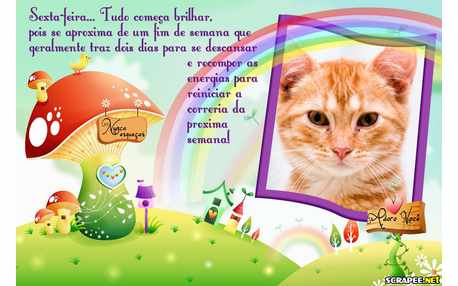 Moldura - Sexta Feira Para Descansar