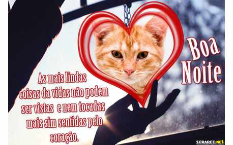 Moldura - Coisas Lindas Da Noite