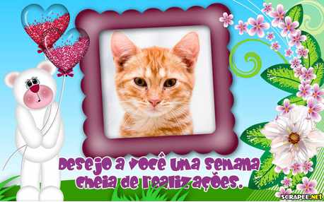 Moldura - Realizacoes Na Semana