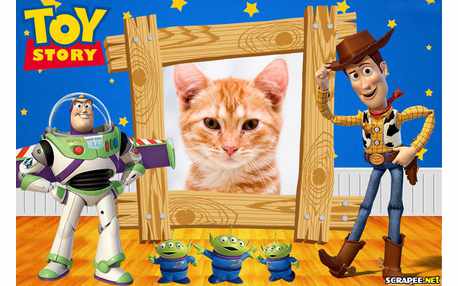 Moldura - Toy Story