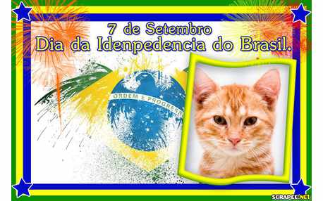 Moldura - Independencia Do Brasil