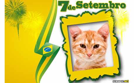 Moldura - 07 De Setembro   Independencia