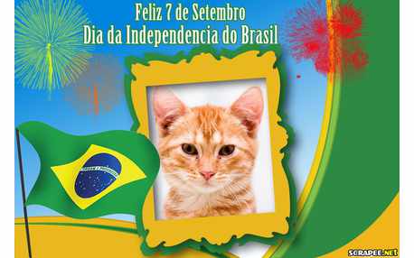 Moldura - Independencia Do Brasil